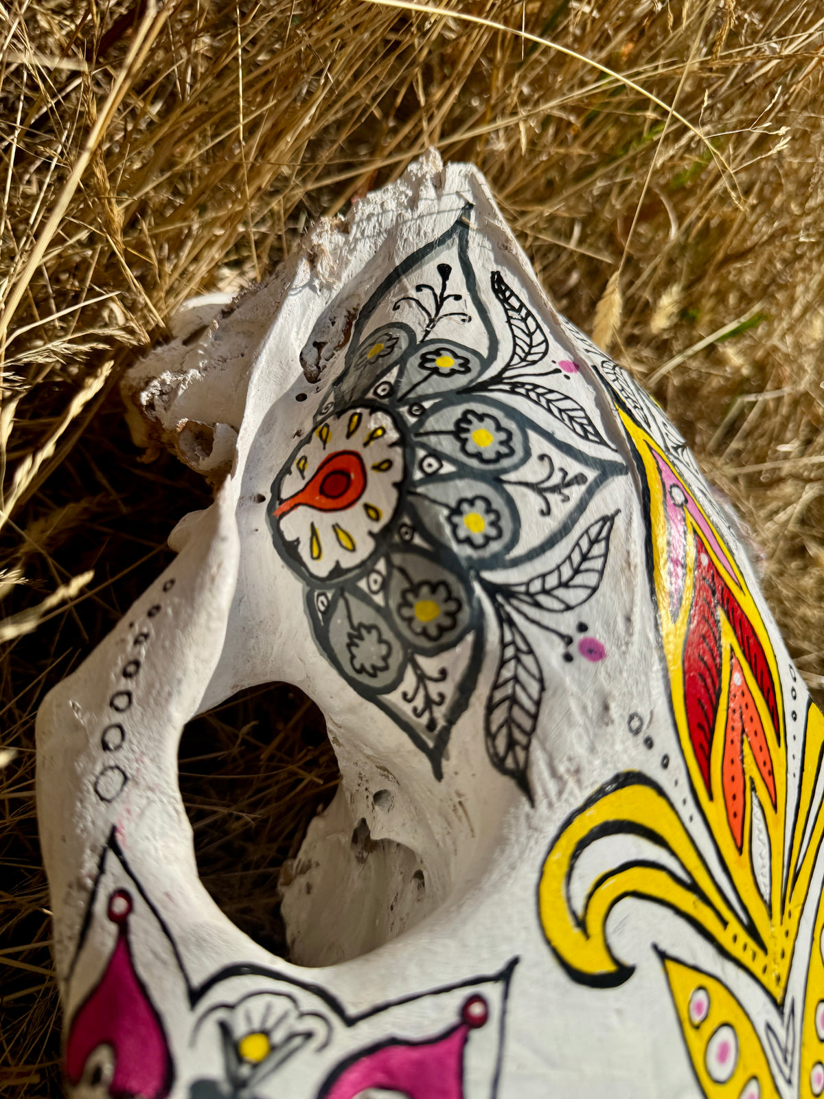 original painted horse skull