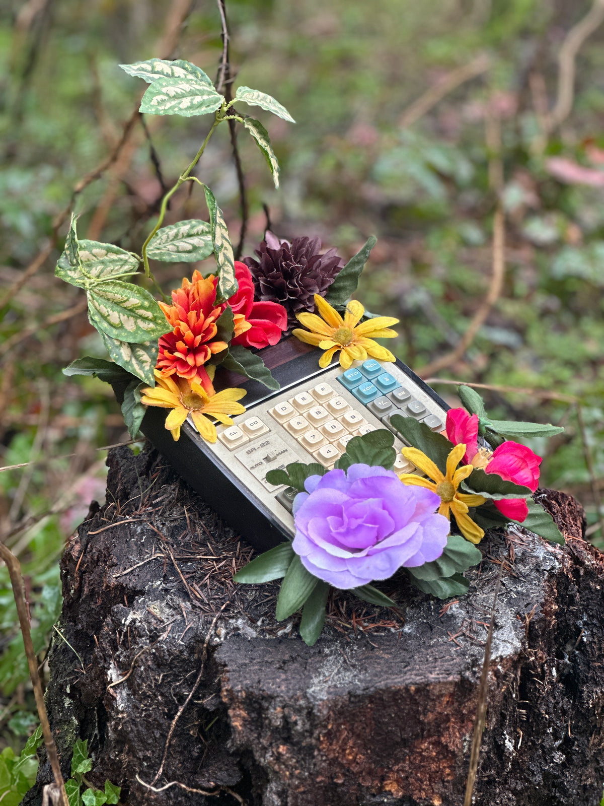 nature of things IX