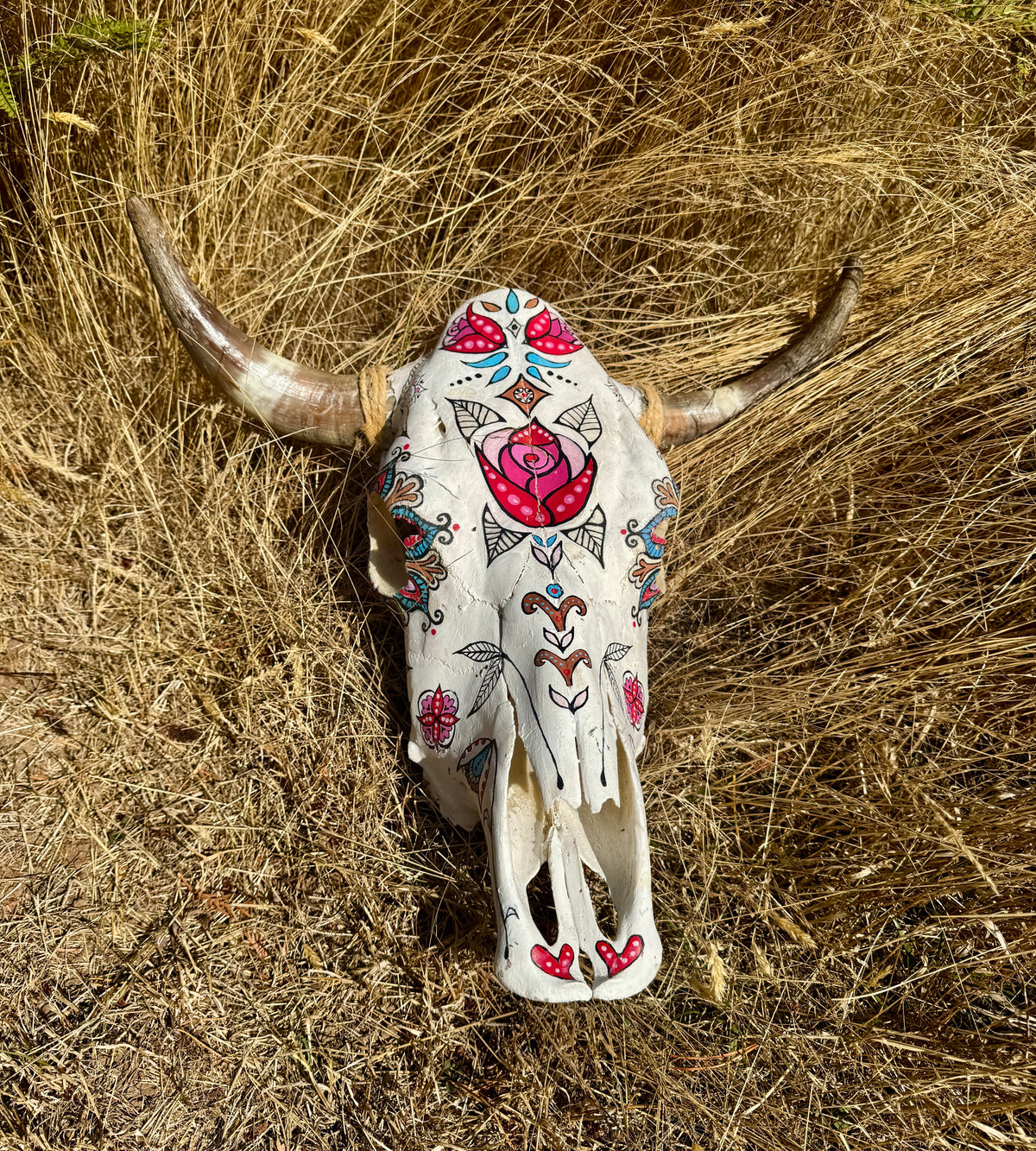 bone skulls