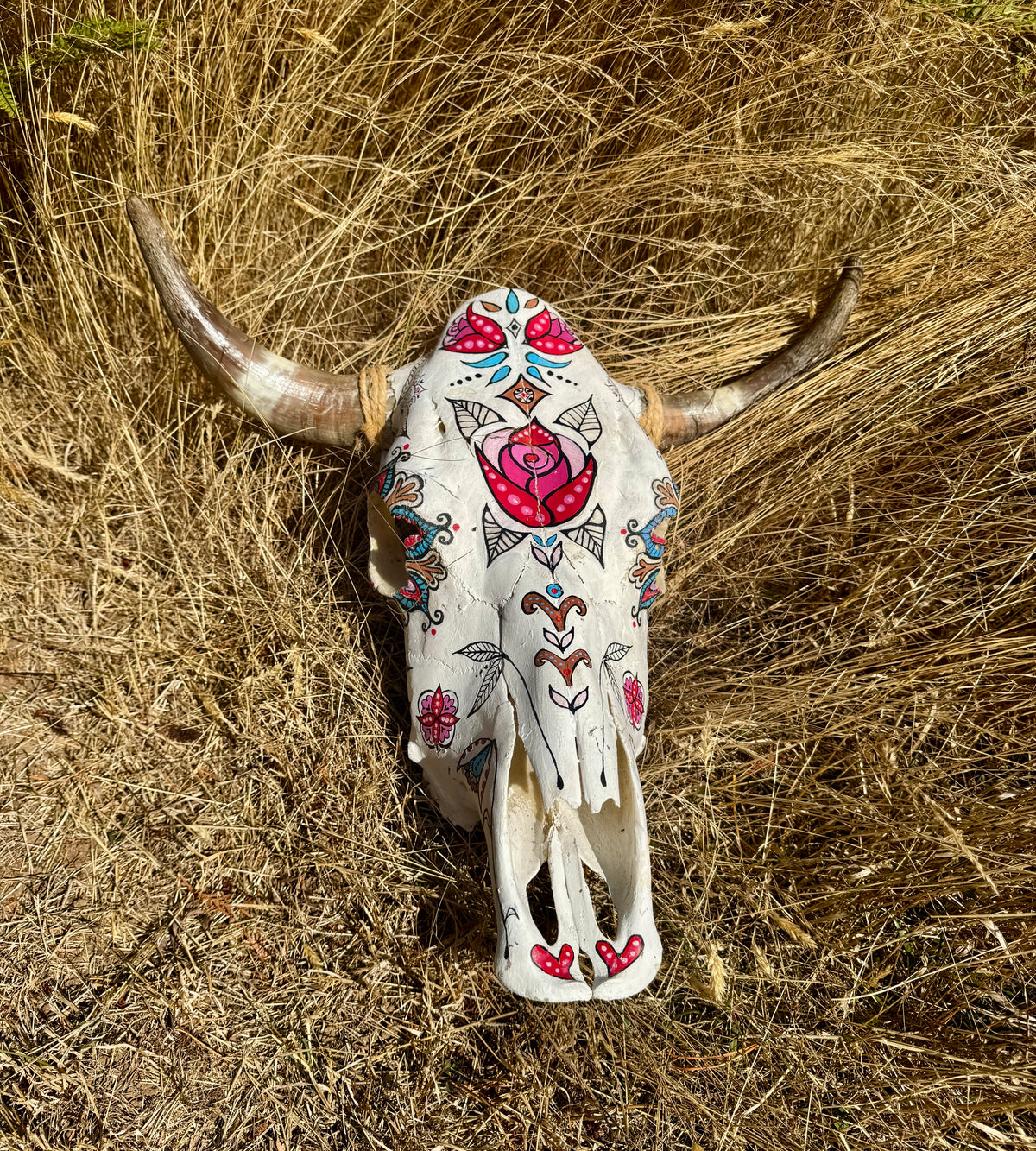original painted cow skull
