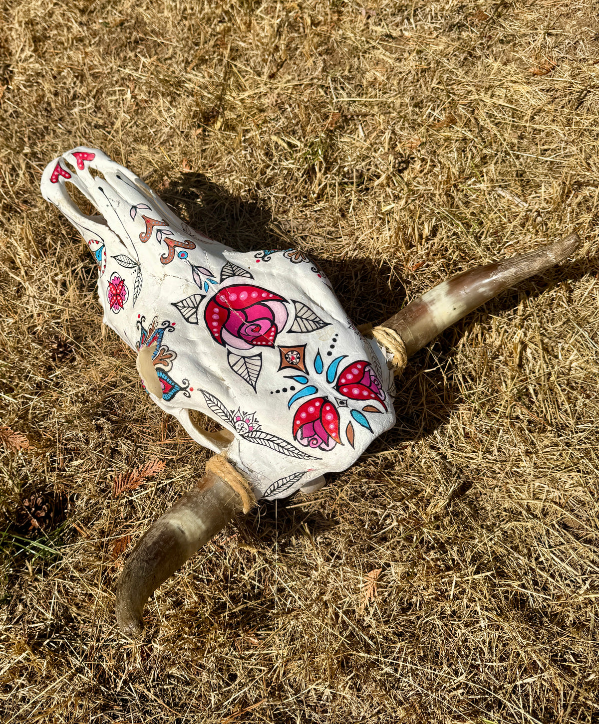 original painted cow skull