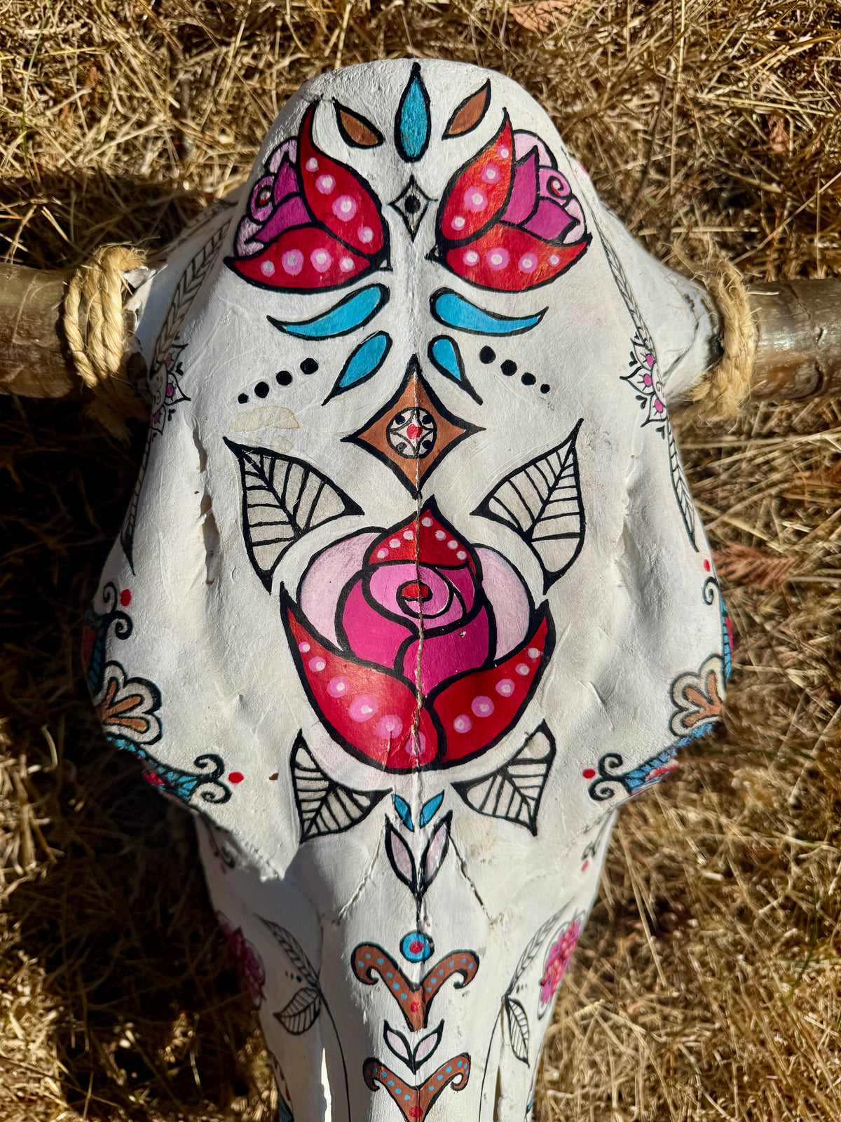 original painted cow skull