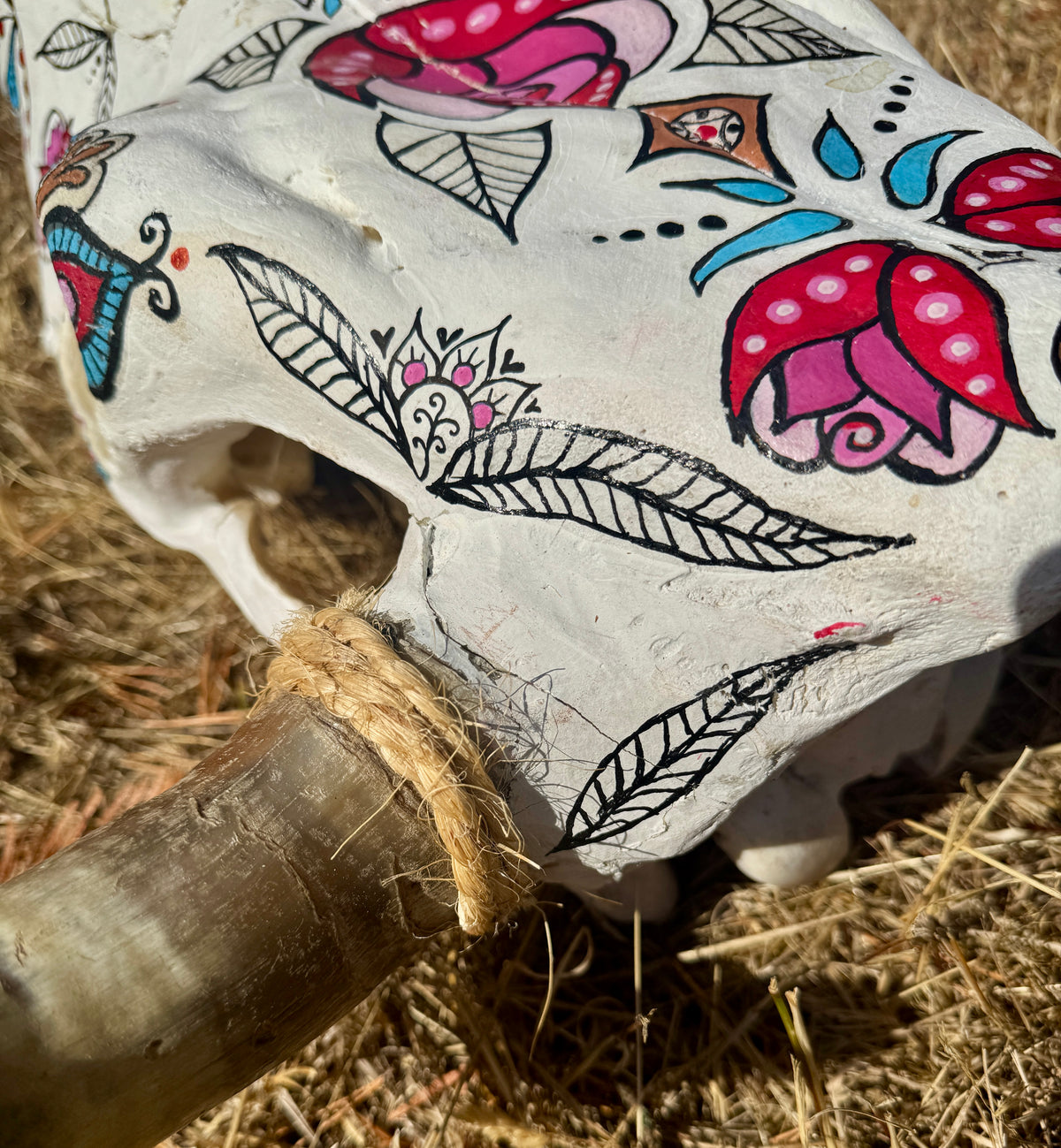 original painted cow skull