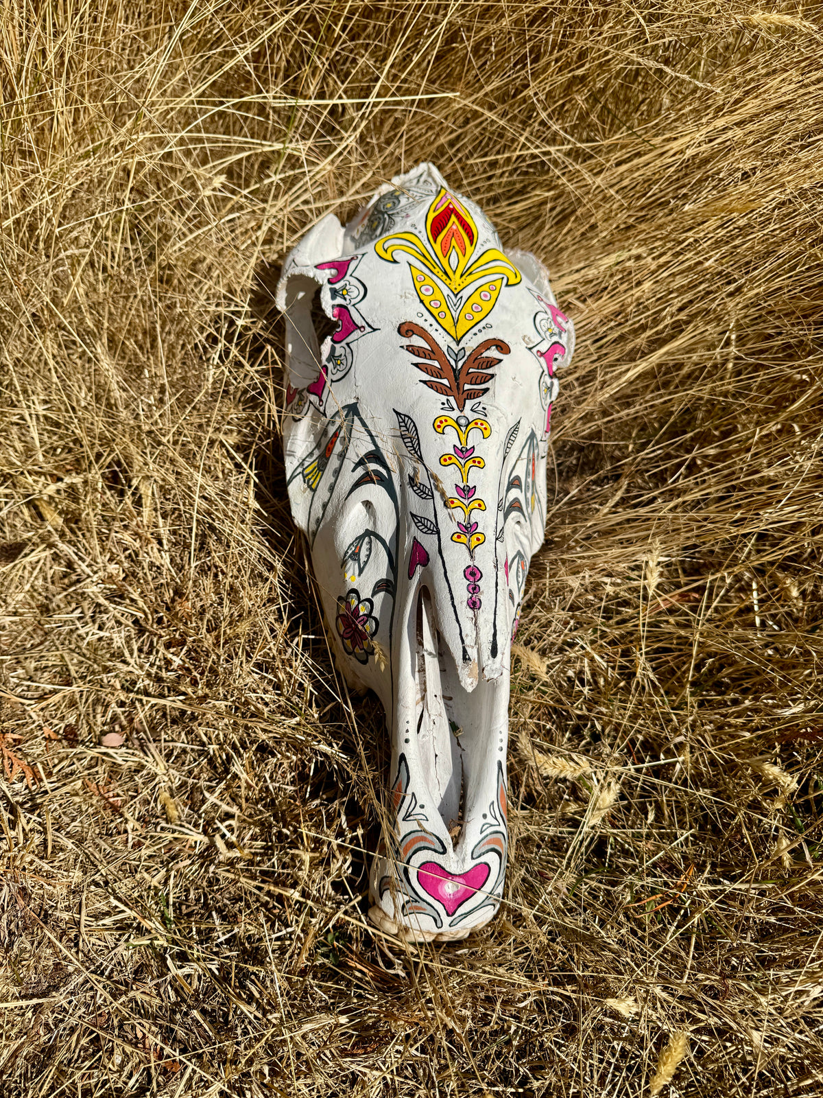 original painted horse skull