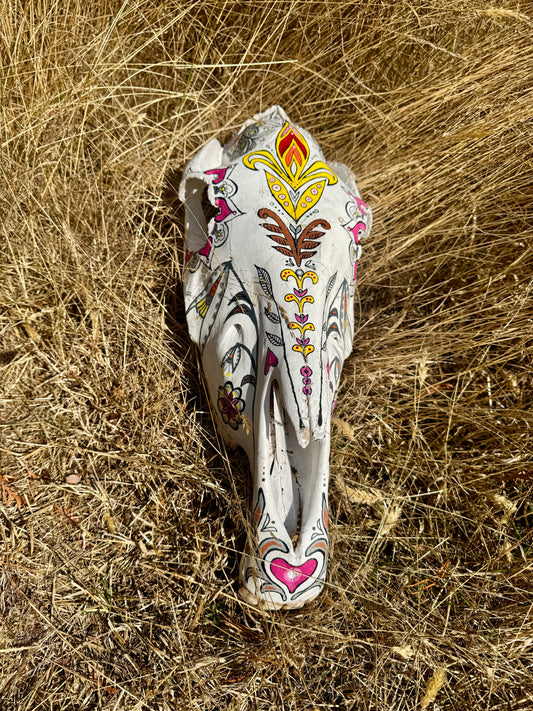original painted horse skull
