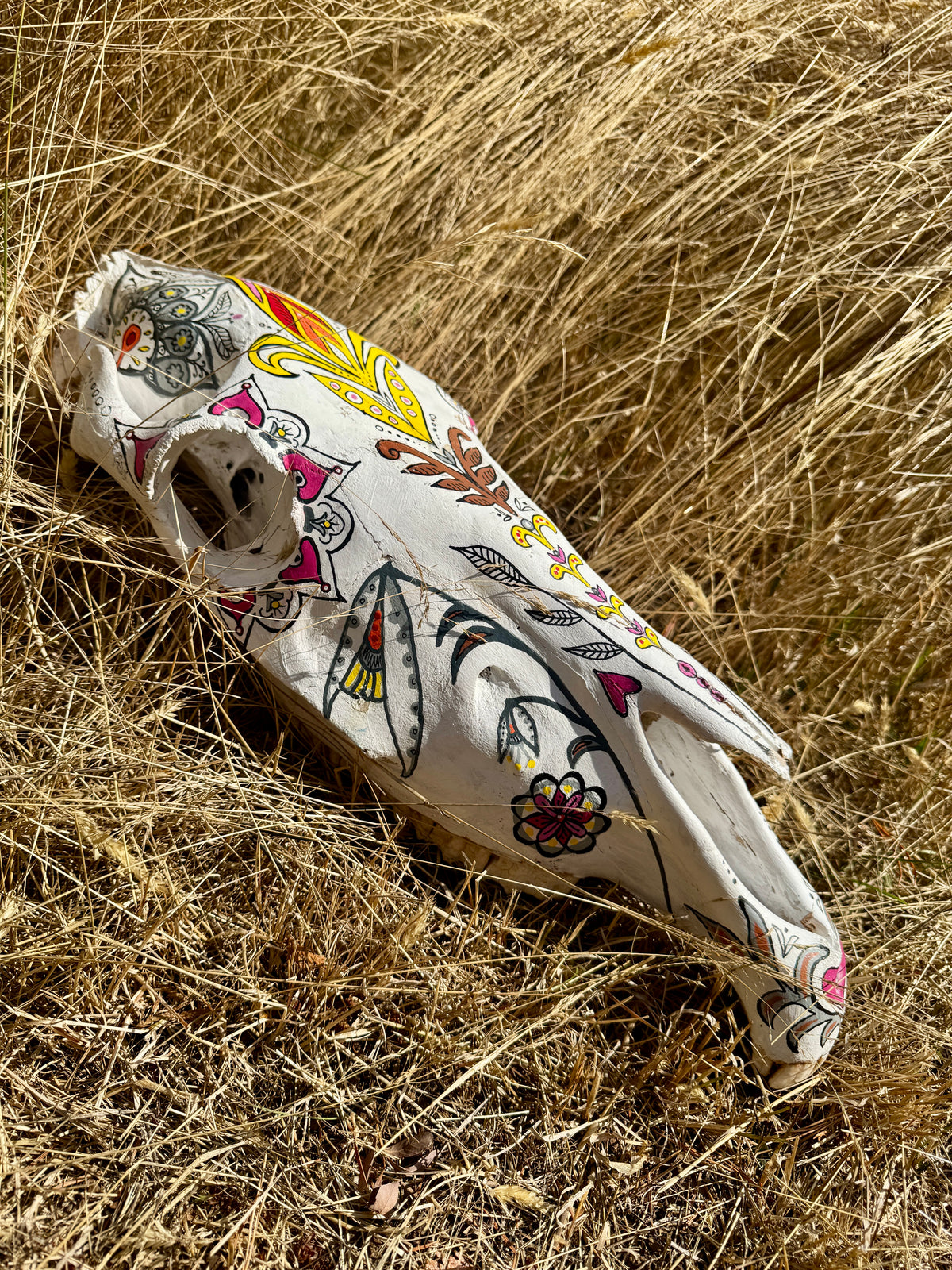 original painted horse skull