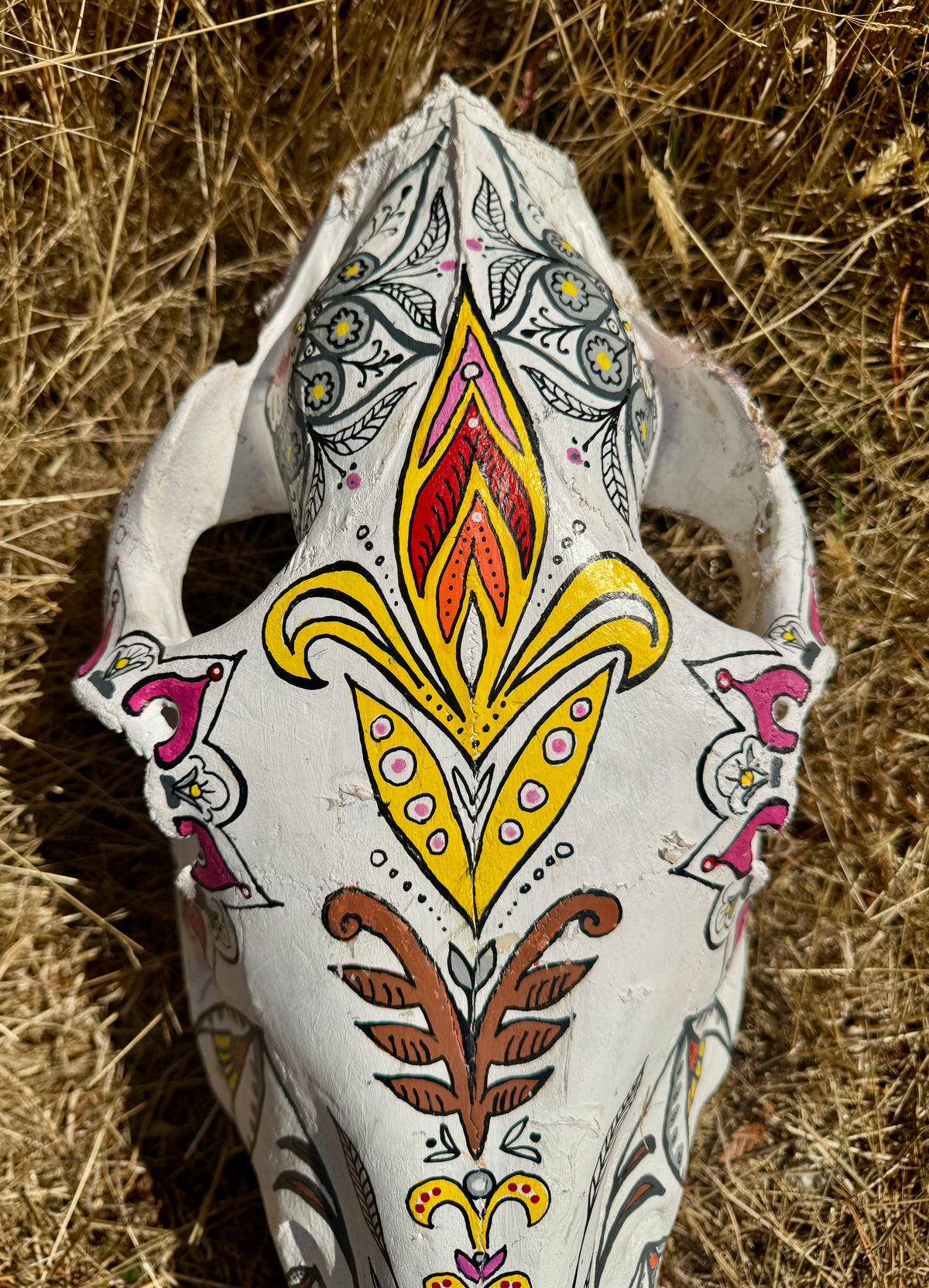 original painted horse skull