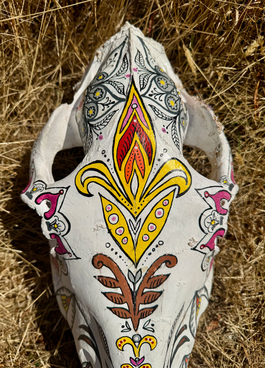 original painted horse skull
