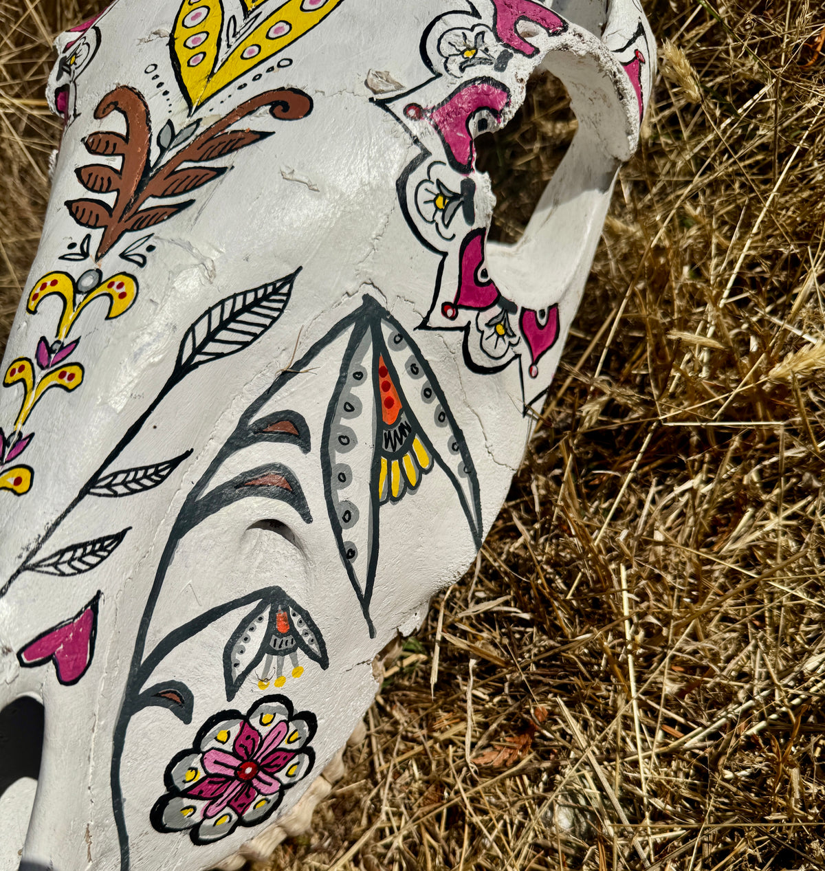 original painted horse skull