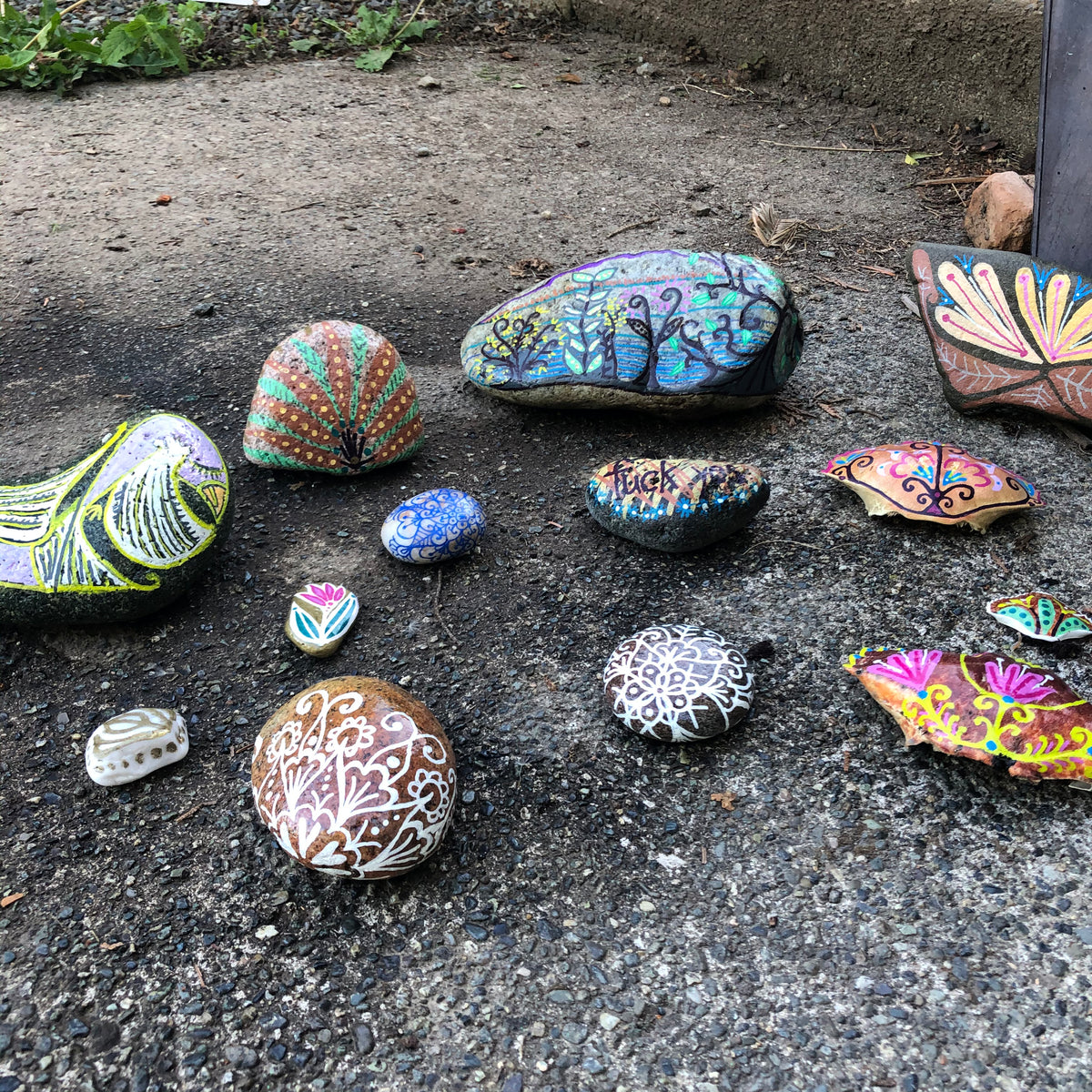 surprise! original painted rock collection