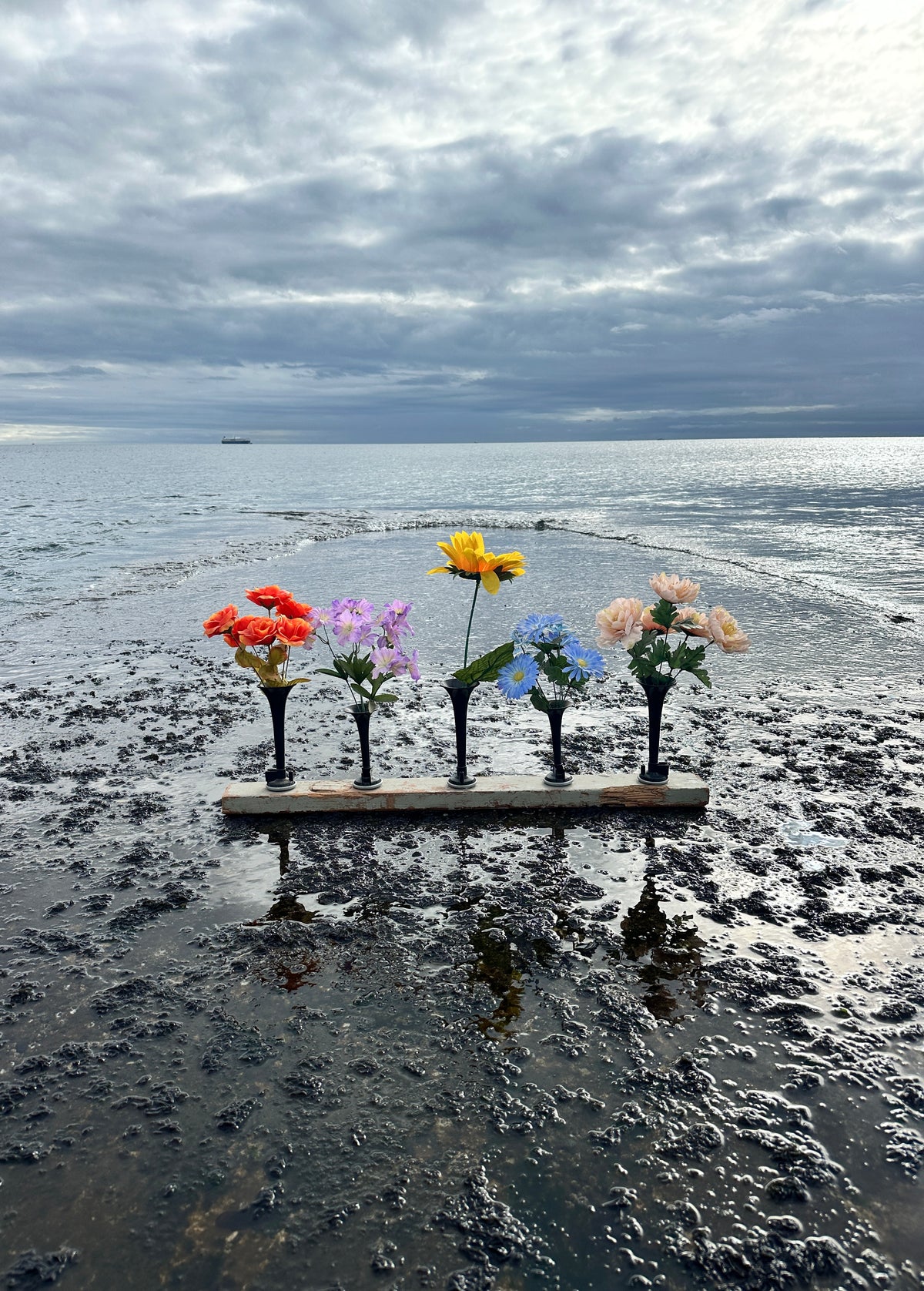 nature of things II