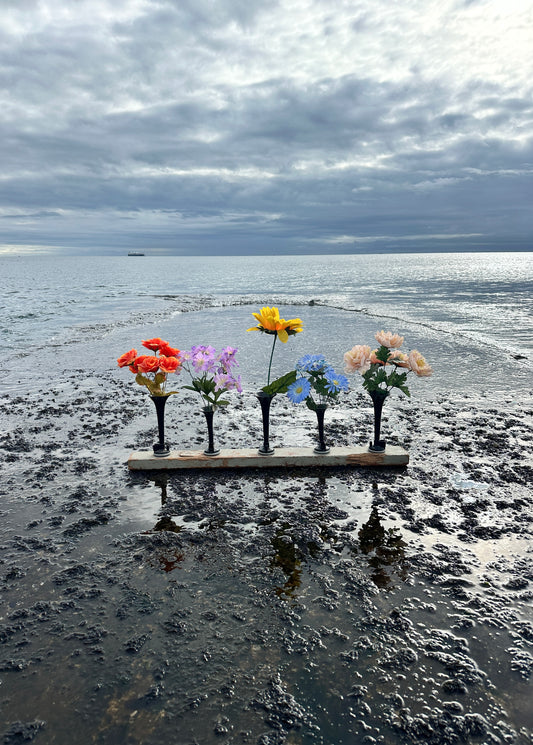 nature of things II
