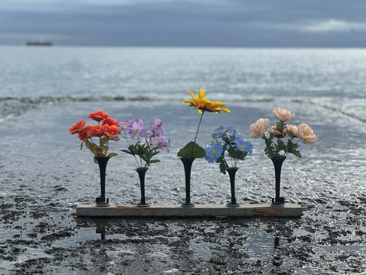 nature of things XI